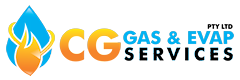 CG Gas - Brivis service and repairs specialists